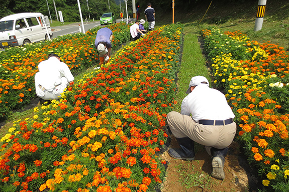 写真：花壇・環境美化整備受託業務